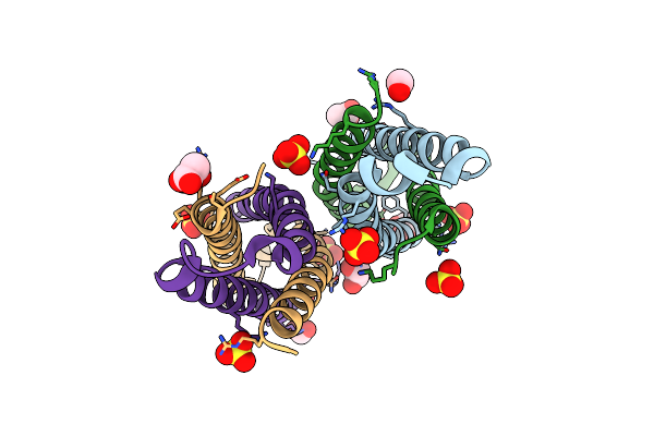 4IYH image