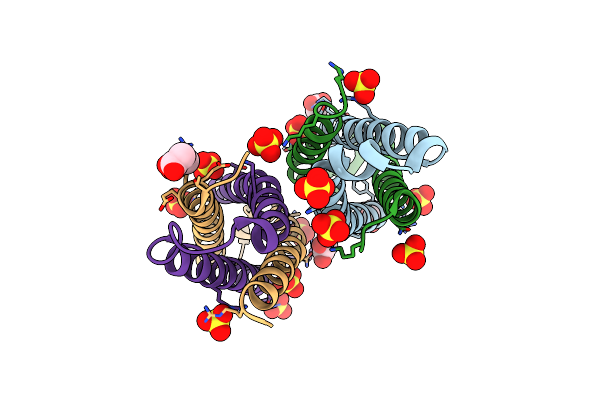 4IYI image