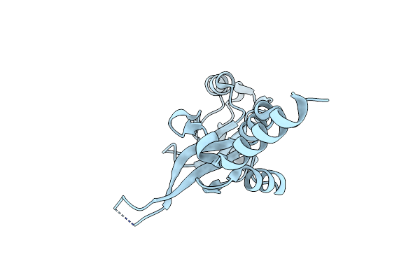 4IYS image