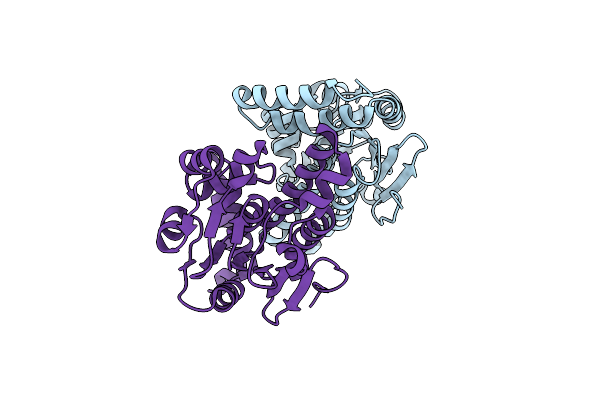 4IZB image
