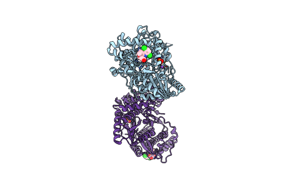 4J02 image