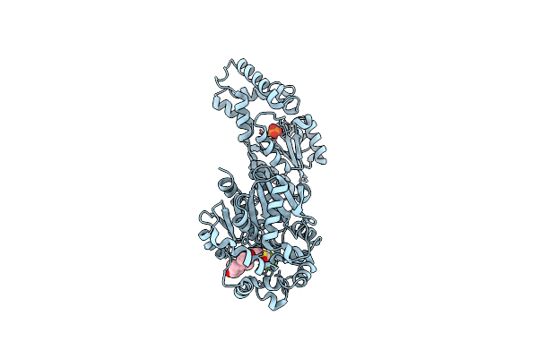 4J03 image