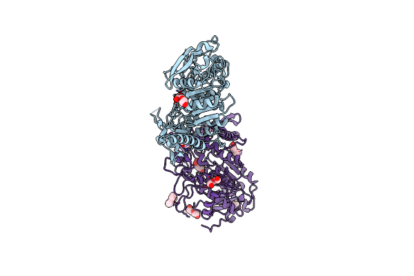 4J0I image