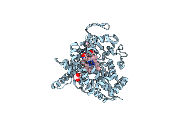 4J14 image
