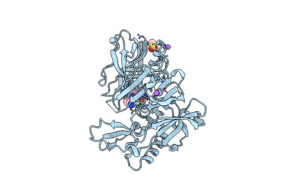 4J1E image