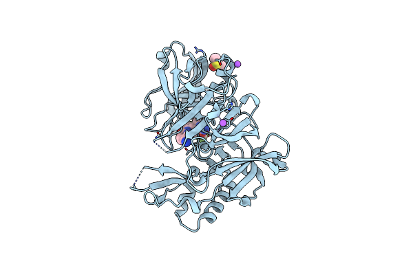 4J1F image