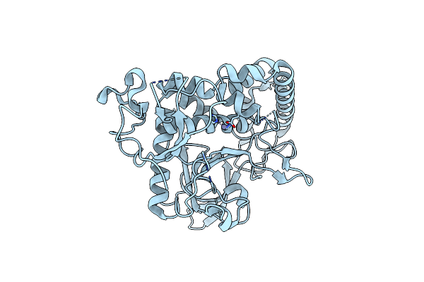 4J1L image