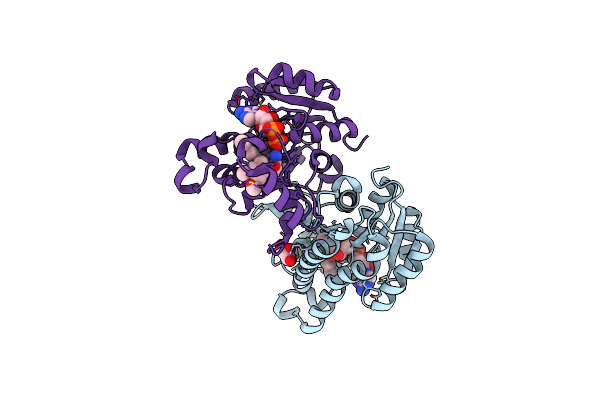 4J1N image
