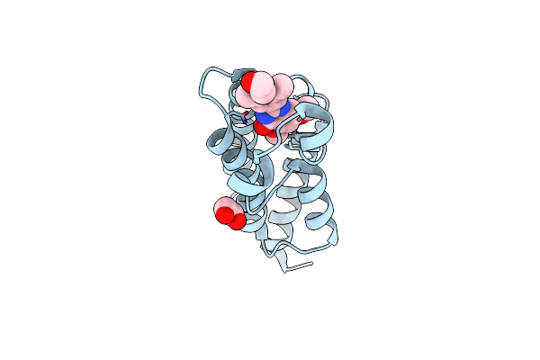 4J1P image