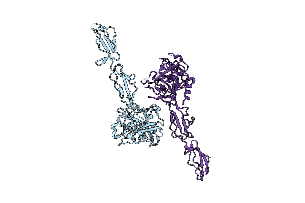 4J1Y image