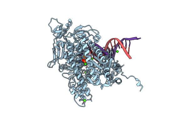 4J2E image