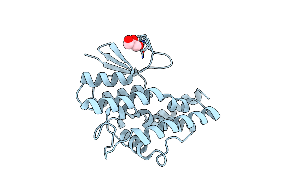 4J2F image