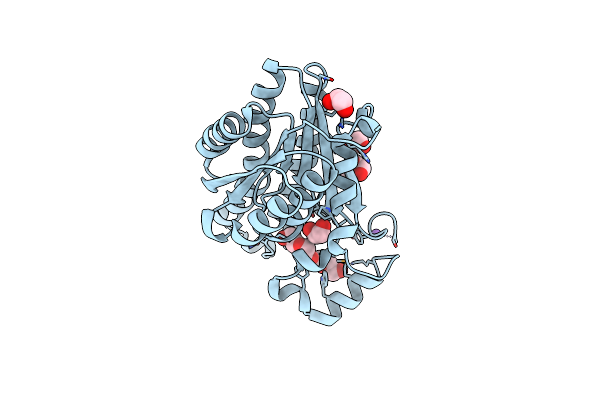 4J2H image