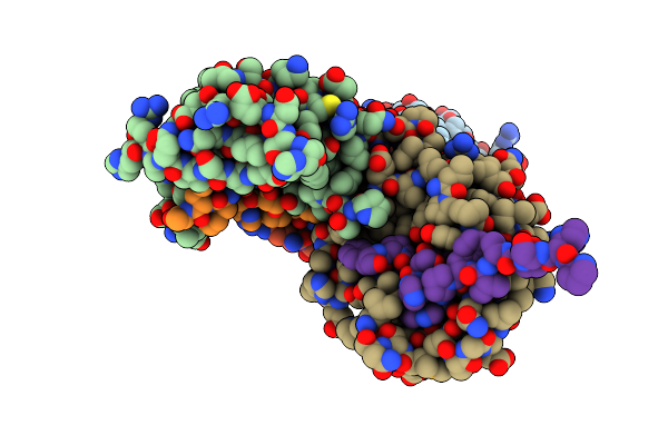 4J2J image