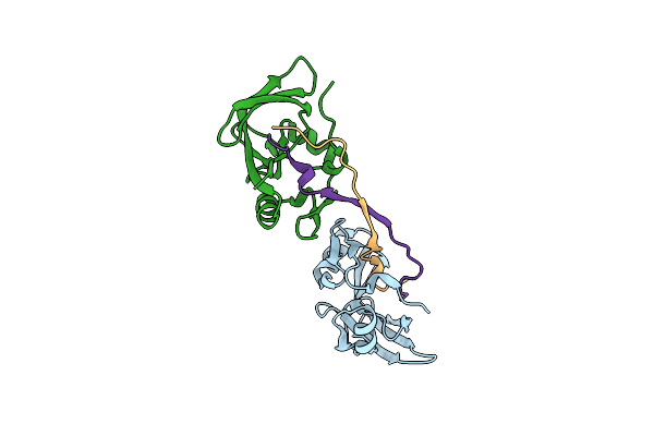 4J2L image
