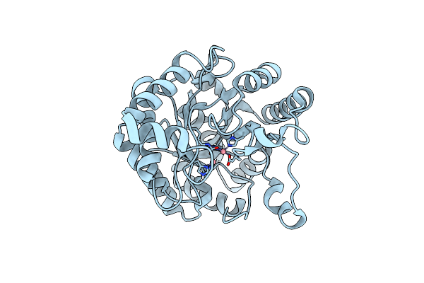 4J2M image