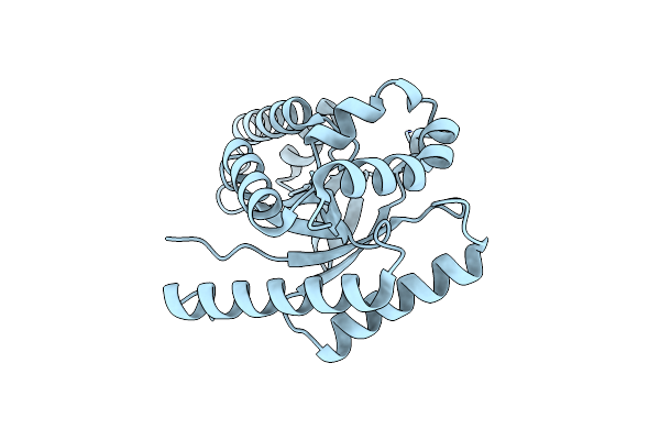 4J2P image