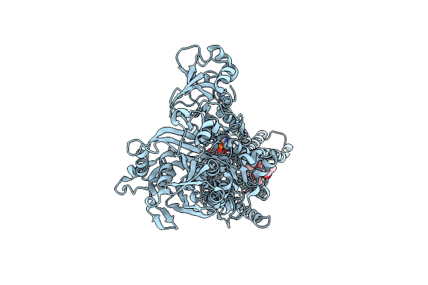 4J2T image