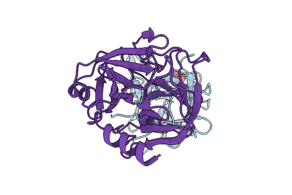 4J2Y image