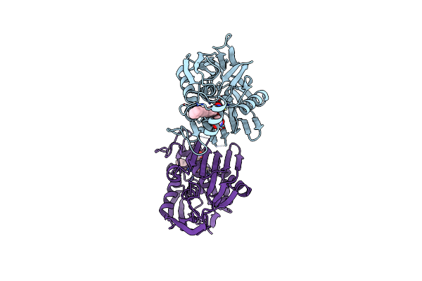 4J3D image