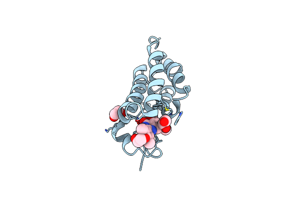 4J3I image