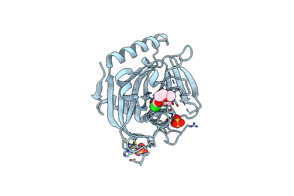 4J3L image