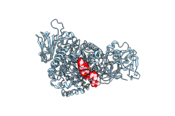 4J3V image