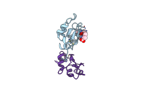 4J46 image