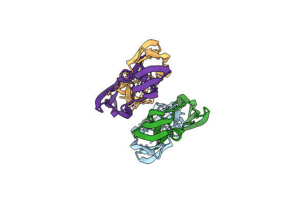 4J4D image