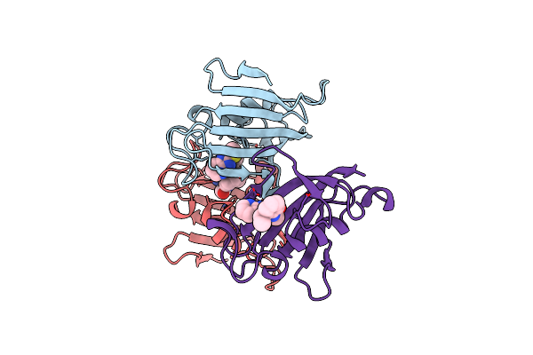 4J4N image