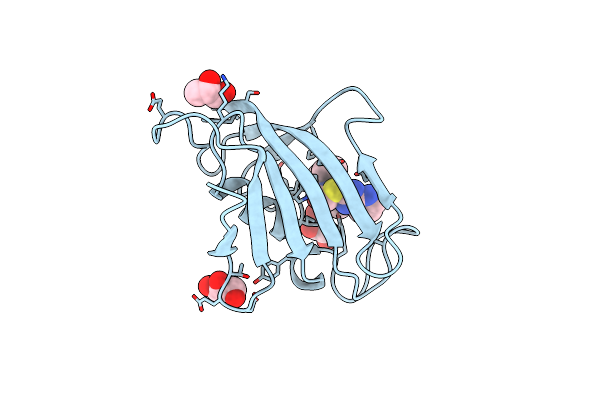 4J4O image