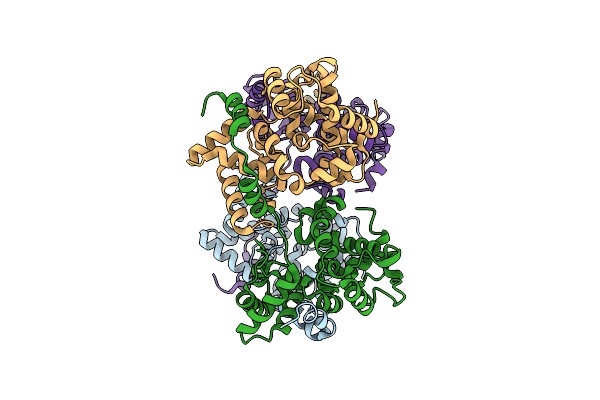 4J4Y image