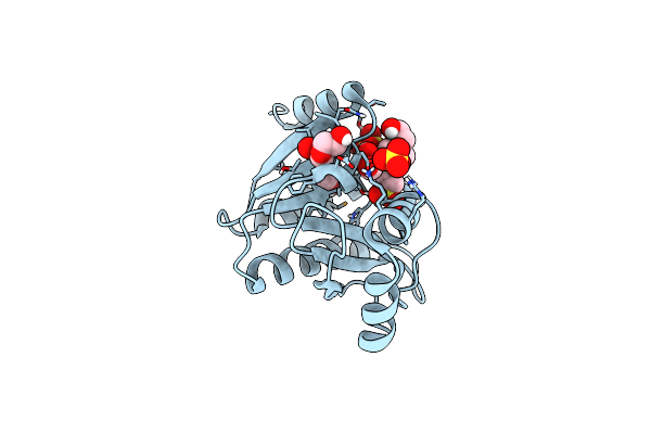 4J4Z image