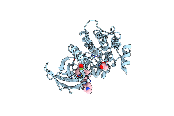 4J52 image