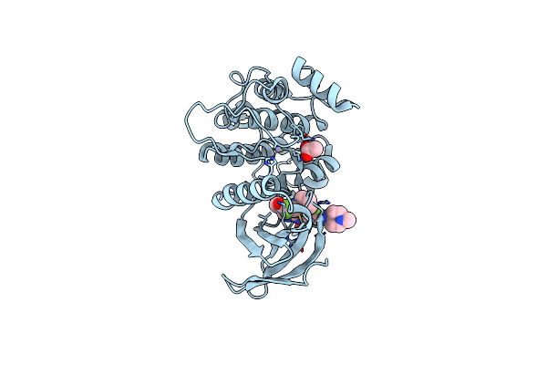 4J53 image