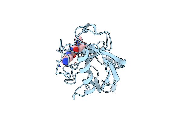 4J5D image