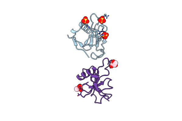 4J5G image