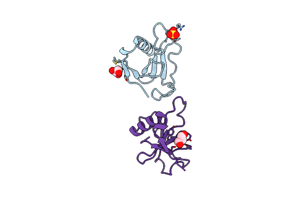 4J5K image