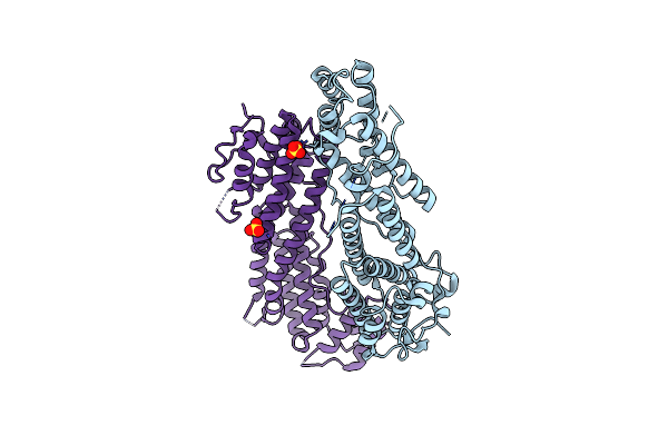 4J5L image