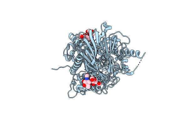 4J5T image