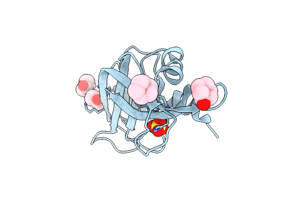 4J62 image