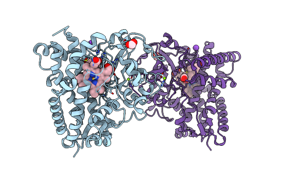 4J6D image