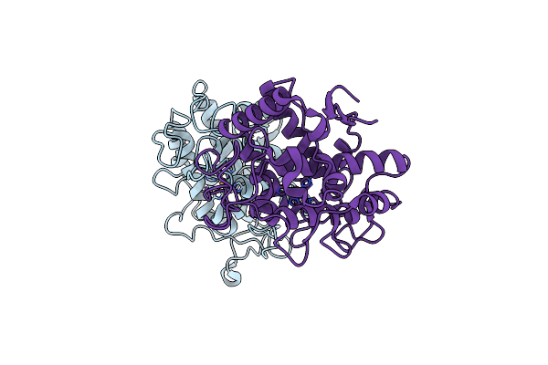 4J6T image