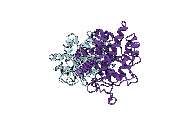 4J6V image
