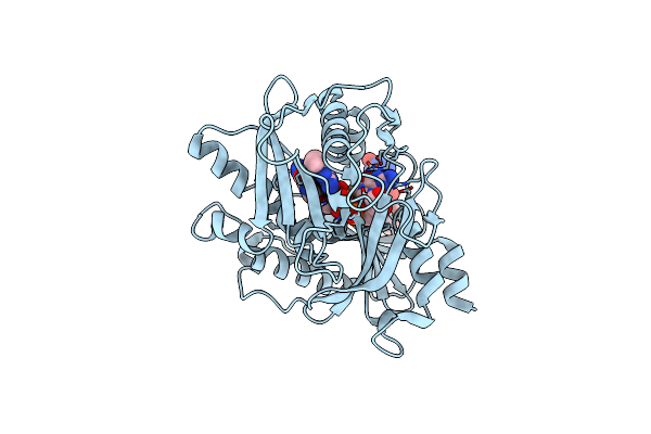 4J7N image