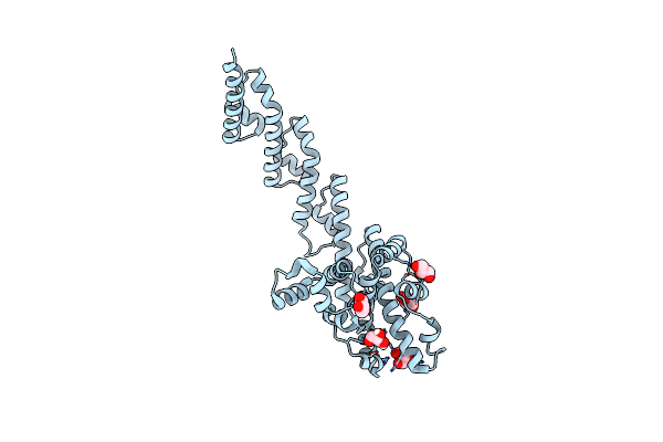 4J7O image