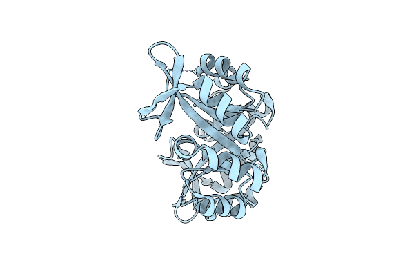 4J9J image