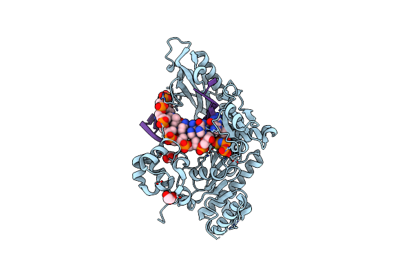 4J9N image