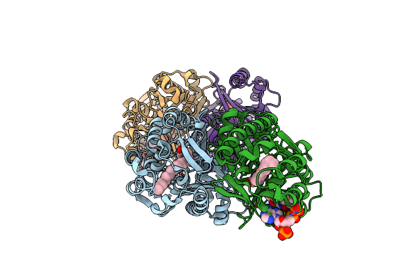 4JAQ image