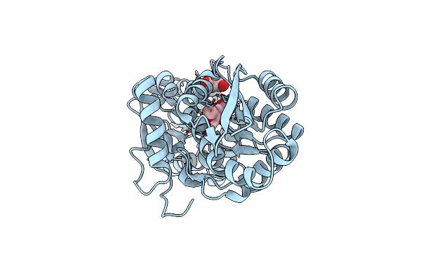 4JB0 image